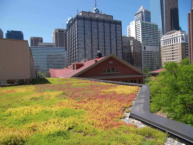 paysagiste-RAMATUELLE-min_green-roof-portfolio-4